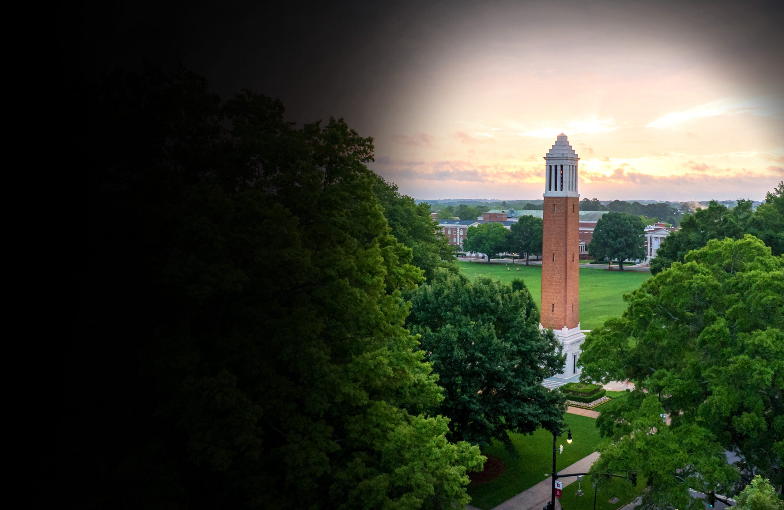 Denny Chimes in bold morning light
